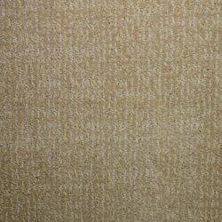 Dixie Home Carpet Rockport G5234 12109