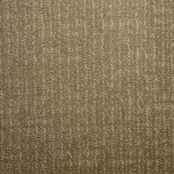 Dixie Home Carpet Rockport G5234 22403