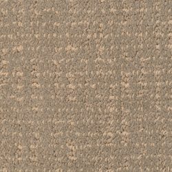 Dixie Home Carpet Rockport G5234 85211