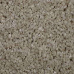 Dixie Home Carpet Silken Thread G5235 17901