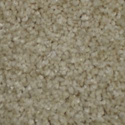Dixie Home Carpet Silken Thread G5235 27921