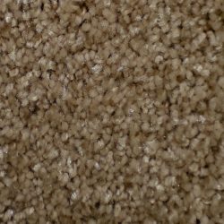 Dixie Home Carpet Silken Thread G5235 37903