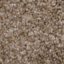 Dixie Home Carpet Silken Thread G5235 37907