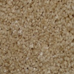 Dixie Home Carpet Silken Thread G5235 37923