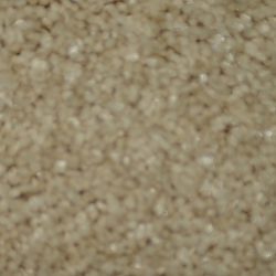 Dixie Home Carpet Silken Thread G5235 47904