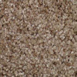 Dixie Home Carpet Silken Thread G5235 77915
