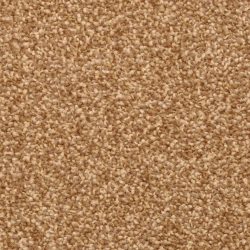 Dixie Home Carpet True Comfort G5238 25791