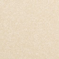 Dixie Home Carpet Inspiring G5239 17307