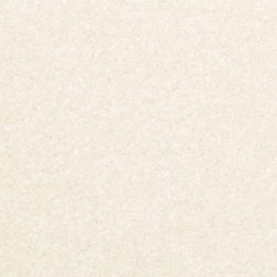 Dixie Home Carpet Inspiring G5239 17330