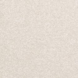 Dixie Home Carpet Inspiring G5239 17350