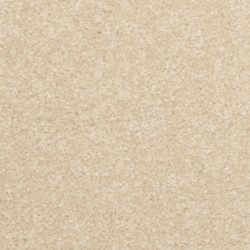 Dixie Home Carpet Inspiring G5239 27312