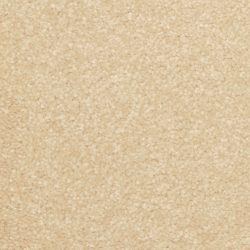 Dixie Home Carpet Inspiring G5239 27317