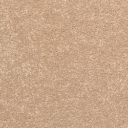Dixie Home Carpet Inspiring G5239 27333