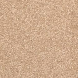 Dixie Home Carpet Inspiring G5239 27334