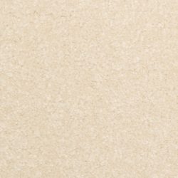 Dixie Home Carpet Inspiring G5239 27339