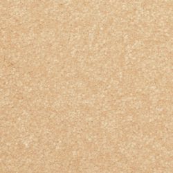 Dixie Home Carpet Inspiring G5239 27341