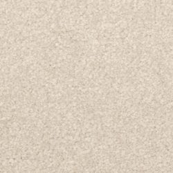 Dixie Home Carpet Inspiring G5239 27346