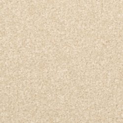 Dixie Home Carpet Inspiring G5239 27348