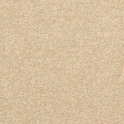 Dixie Home Carpet Inspiring G5239 27349