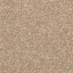 Dixie Home Carpet Inspiring G5239 37305