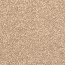 Dixie Home Carpet Inspiring G5239 37306