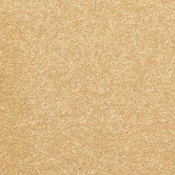 Dixie Home Carpet Inspiring G5239 47308