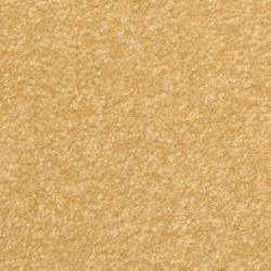 Dixie Home Carpet Inspiring G5239 47309