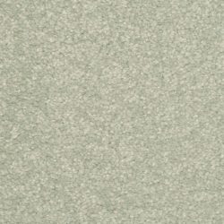 Dixie Home Carpet Inspiring G5239 57315