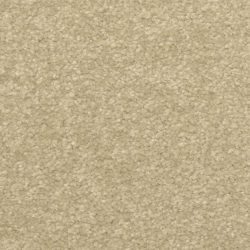 Dixie Home Carpet Inspiring G5239 57326