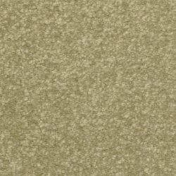 Dixie Home Carpet Inspiring G5239 57328