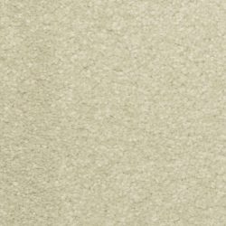 Dixie Home Carpet Inspiring G5239 57329