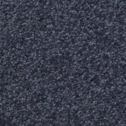 Dixie Home Carpet Inspiring G5239 67301