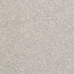 Dixie Home Carpet Inspiring G5239 67323