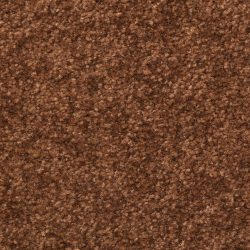 Dixie Home Carpet Inspiring G5239 77304