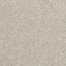 Dixie Home Carpet Inspiring G5239 87321