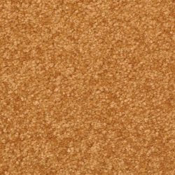 Dixie Home Carpet Inspiring G5239 97337