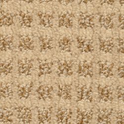 Dixie Home Carpet Rock Creek G5240 37964