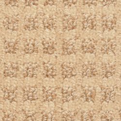 Dixie Home Carpet Rock Creek G5240 37971