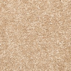 Dixie Home Carpet Winthrop G5244 27414