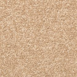 Dixie Home Carpet Winthrop G5244 27425