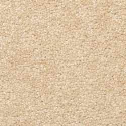 Dixie Home Carpet Winthrop G5244 27426