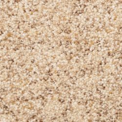Dixie Home Carpet Winthrop G5244 27471