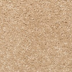 Dixie Home Carpet Winthrop G5244 27483