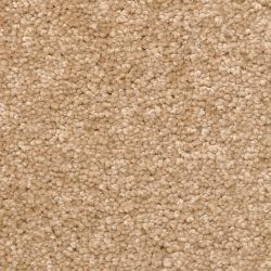 Dixie Home Carpet Winthrop G5244 37458