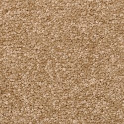 Dixie Home Carpet Winthrop G5244 37474