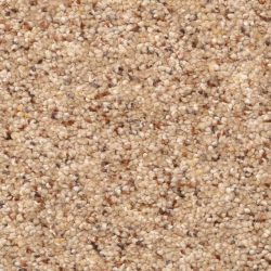 Dixie Home Carpet Winthrop G5244 37493