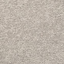 Dixie Home Carpet Winthrop G5244 87420