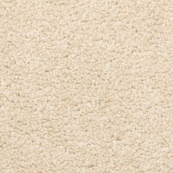 Dixie Home Carpet Stanton Park G5245 17424