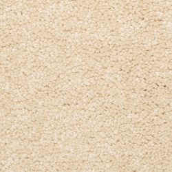 Dixie Home Carpet Stanton Park G5245 27413