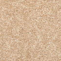 Dixie Home Carpet Stanton Park G5245 27414